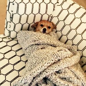 Meet your Posher, Josh & brandi